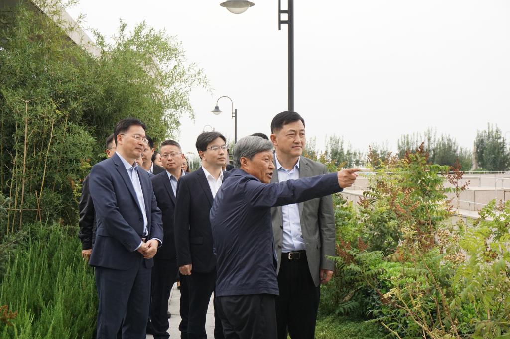 点击查看大图