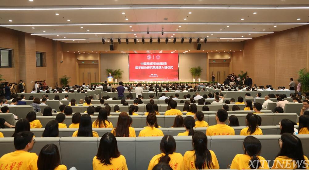 点击查看大图