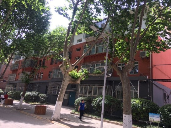 点击查看大图