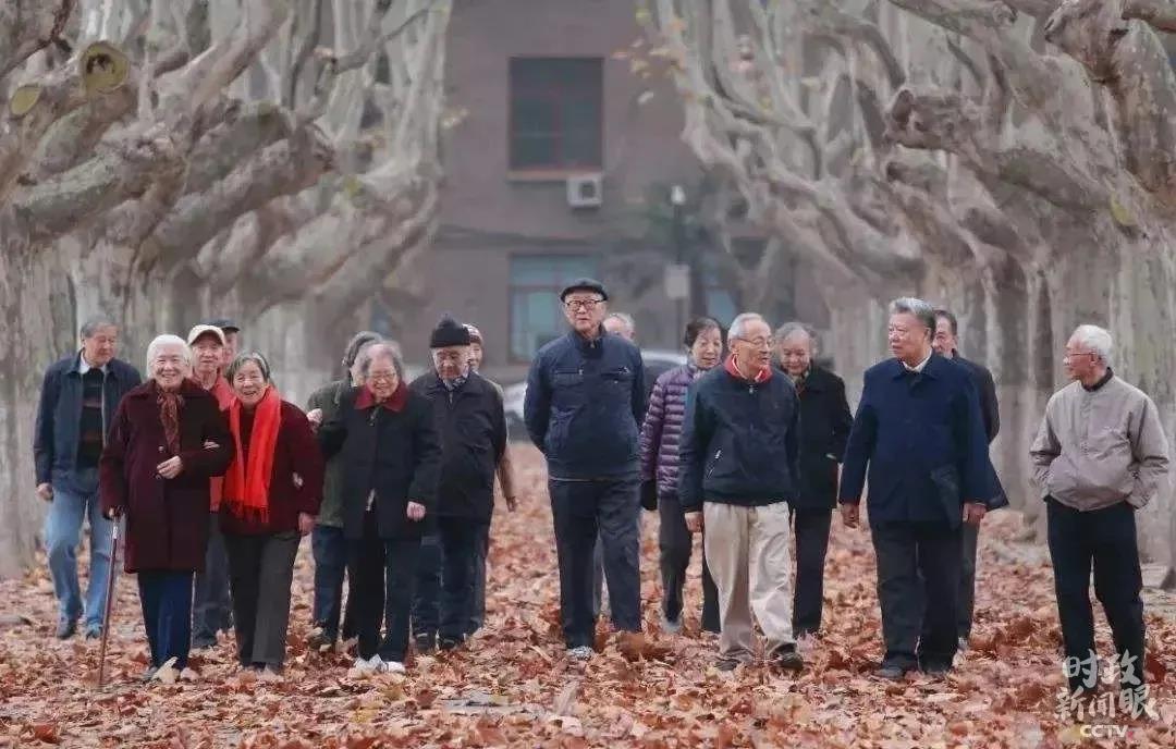 点击查看大图